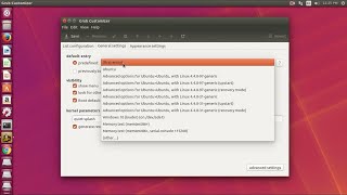 How To Install Grub Customizer on Ubuntu 1604  1710 [upl. by Moe594]