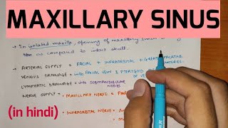 Anatomy of Paranasal Sinus [upl. by Alper]