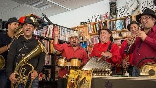 Fanfare Ciocarlia NPR Music Tiny Desk Concert [upl. by Rebma]