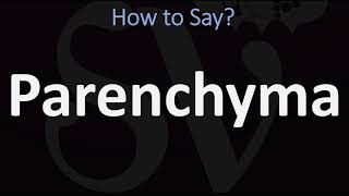 How to Pronounce Parenchyma CORRECTLY [upl. by Boni805]