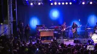 DAngelo at AFROPUNK FEST 2014 FULL SET [upl. by Sualokin667]