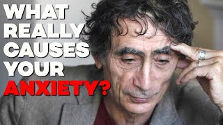 What The REAL Cause Of Your Anxiety Is  With Dr Gabor Maté [upl. by Namaan]