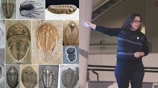 Trilobite Takedown – AMNH SciCafe [upl. by Sven]