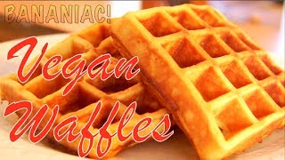 How to Make Vegan Waffles  Cuisinart Belgian Waffle Maker [upl. by Rod]