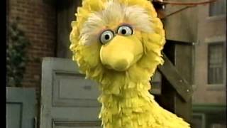 Classic Sesame Street  Big Bird The Grouch [upl. by Crist]