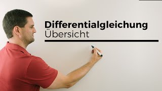 Differentialgleichung Differenzialgleichung Übersicht Schreibweisen  Mathe by Daniel Jung [upl. by Kelson]