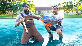 Catch amp Cook GIANT PIRANHAS In Florida [upl. by Tat358]