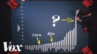 Why beef is the worst food for the climate [upl. by Joseph]