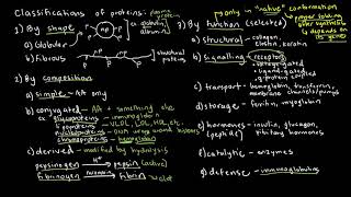 BIOCHEM 16  Protein Classifications and Common Examples [upl. by Nanaj]