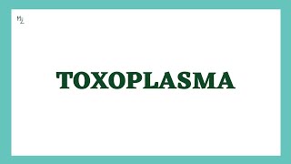 Toxoplasma gondii  Toxoplasmosis  Life Cycle Diagnosis Treatment amp Prevention  MEDZUKHRUF [upl. by Giustino977]