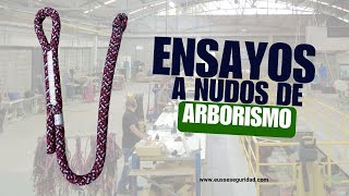 ENSAYOS  NUDOS ARBORISMO [upl. by Malarkey]