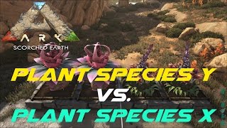 Plant Species Y vs Plant Species X  ARK Scorched Earth [upl. by Ybrad]