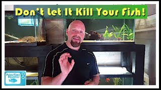 How to Lower Nitrites in an Aquarium [upl. by Carol-Jean305]