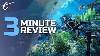 Beyond Blue  Review in 3 Minutes [upl. by Kehsihba]