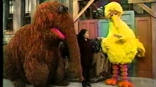 Sesame Street  Big Bird Wants a New Name Part 1 [upl. by Clava784]