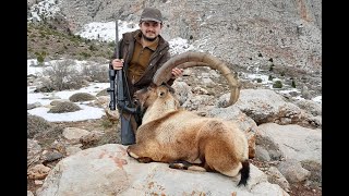 BEZOAR IBEX HUNTING TURKISH FRONTIER  ÖZHAN ARSLAN [upl. by Aliek]