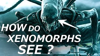 Interview with a Xenomorph  The Alien audiobooks [upl. by Yorgos]