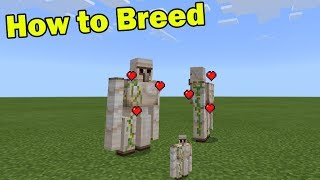 How to BREED Iron Golems in Minecraft PE Small Golem Addon [upl. by Neelac]