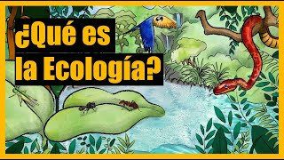 ¿Qué es la Ecología [upl. by Thetos]