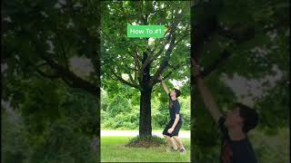 How To Climb A Tree  Quick And Easy [upl. by Aicella537]