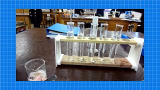 A level Biology ENZYMES REQUIRED PRACTICAL [upl. by Ahsii308]