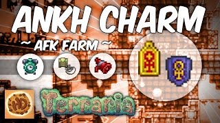 Terraria AFK Megaphone Fast Clock Trifold Map amp Blindfold Farm Ankh Charm Series 2 [upl. by Tannenwald]