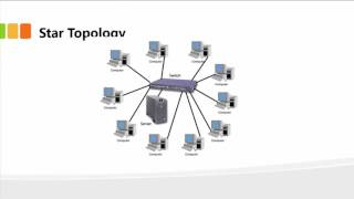 Understanding Network Topologies [upl. by Grigson]