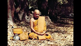 Ajahn Chah  Speaking Straight on Meditation and Sila in Thai amp English [upl. by Metabel]