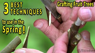 Grafting Fruit Trees  The 3 BEST Grafting Techniques for SPRING [upl. by Barbuto]