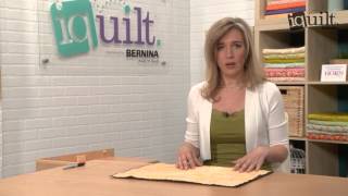 Freehand Quilting Design Placement Tip [upl. by Niatsirt]