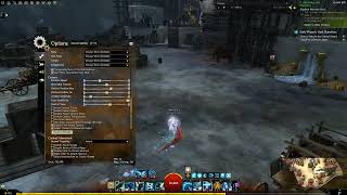 Guild Wars 2  Change one option to do more DPS [upl. by Luise]