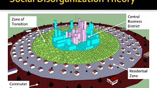 Social Disorganization Theory [upl. by Lapham925]