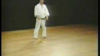 Hangetsu  Shotokan Karate [upl. by Nagad]