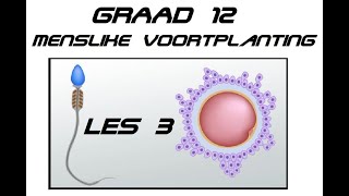 Lewenswetenskappe GR12 Menslike Voortplanting Les3 [upl. by Budge874]