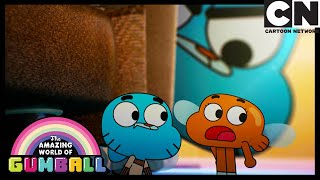 Ever Wondered What Its Like To Be A Fly  The Dream  Gumball  Cartoon Network [upl. by Zeena]