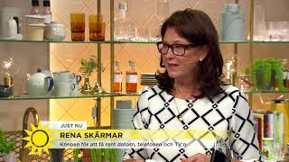 Städexperten Så rengör du skärm och tangentbord  Nyhetsmorgon TV4 [upl. by Fairleigh464]