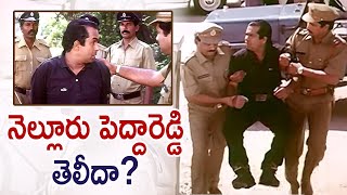 Brahmanandams Nelluru Pedha Reddy Comedy  Anaganaga Oka Roju Comedy Scenes  Brahmi Comedy Scenes [upl. by Epuladaugairam]