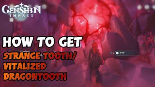 HOW TO GET STRANGE TOOTH amp VITALIZED DRAGONTOOTH  Genshin Impact [upl. by Martreb]