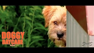 Doggy Daycare The Movie Official Trailer HD [upl. by Gorey341]