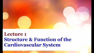 Lecture 1  Introduction to the Cardiovascular System [upl. by Lemmueu707]