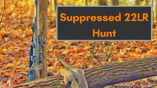 Squirrel Hunting with Suppressed 22 Rifle [upl. by Kermy482]