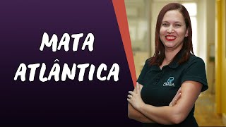 Mata Atlântica  Brasil Escola [upl. by Croft898]