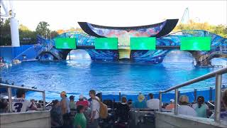 One Ocean SeaWorld Orlando Shamu Show Full Show [upl. by Jillian]