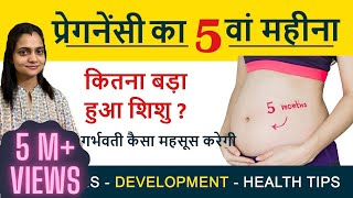 Typhoid का जबर्दस्त diet plan  typhoid me kya khana chahiye  typhoid fever treatment foods [upl. by Ailicec]