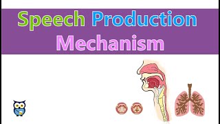 Speech Production Mechanism [upl. by Gideon]