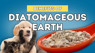 5 Benefits Of Diatomaceous Earth For Dogs and Cats [upl. by Birk]