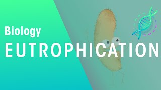 What Is Eutrophication  Agriculture  Biology  FuseSchool [upl. by Adur]