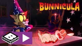 Bunnicula  Bunniculas Magical Ritual  Boomerang UK 🇬🇧 [upl. by Krakow153]