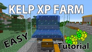 Kelp Farm Minecraft 117  Easy early game XP Farm Tutorial  AFK Starter Farm 2021 [upl. by Euqinoj708]