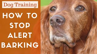 How To Train A Dog To Stop Alert Barking [upl. by Campney]